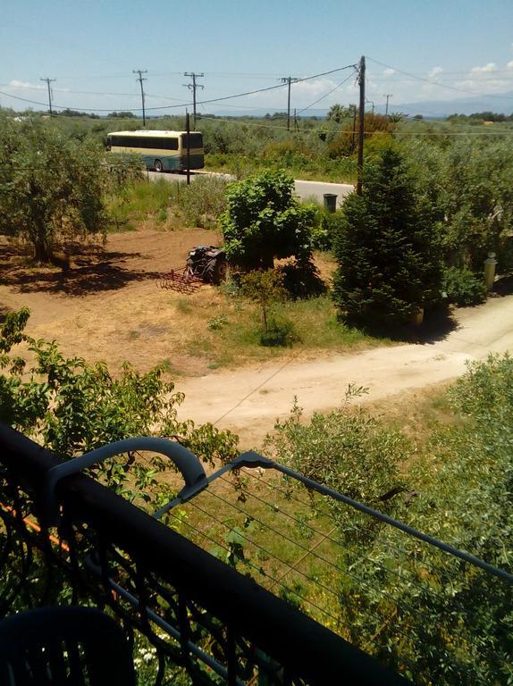 Villa Thomi Skala Rachoni  Exterior foto