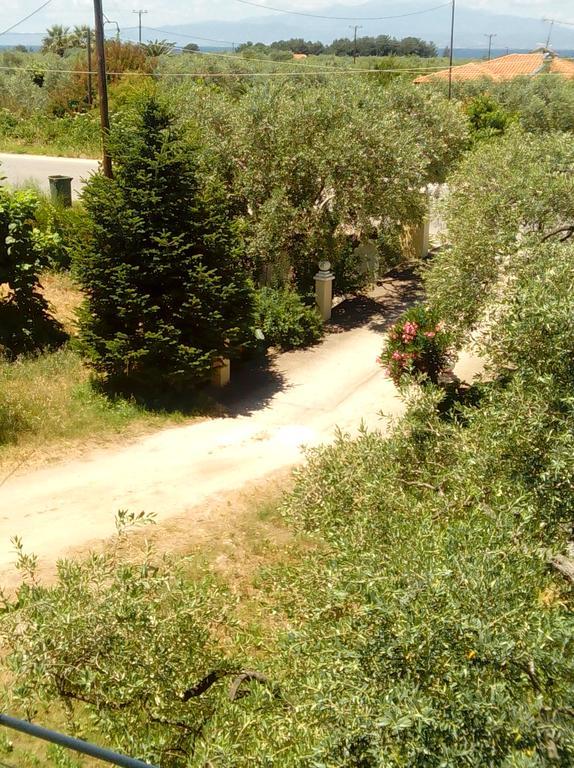 Villa Thomi Skala Rachoni  Exterior foto